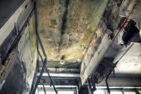 Mold Removal for HVAC Installations